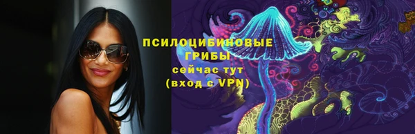 СК Абаза