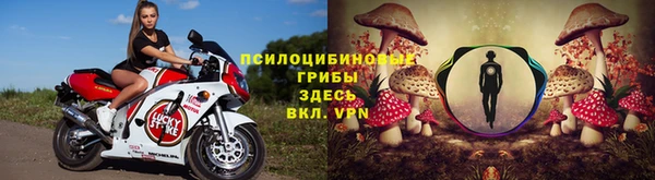 прущие крисы Абинск